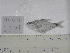  ( - MHNM55910)  @11 [ ] Unspecified (default): All Rights Reserved  Unspecified Unspecified