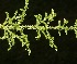  ( - BioBot05308)  @11 [ ] Copyright (2010) Unspecified Unspecified