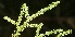  ( - BioBot05308)  @11 [ ] Copyright (2010) Unspecified Unspecified