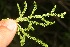  ( - BioBot05308)  @11 [ ] Copyright (2010) Unspecified Unspecified