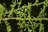  ( - BioBot05308)  @11 [ ] Copyright (2010) Unspecified Unspecified