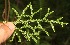  ( - BioBot05308)  @11 [ ] Copyright (2010) Unspecified Unspecified