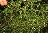  ( - BioBot05309)  @11 [ ] Copyright (2010) Unspecified Unspecified