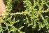  ( - BioBot05309)  @11 [ ] Copyright (2010) Unspecified Unspecified