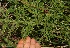  ( - BioBot05310)  @11 [ ] Copyright (2010) Unspecified Unspecified
