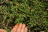  ( - BioBot05310)  @11 [ ] Copyright (2010) Unspecified Unspecified