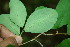  ( - BioBot00008)  @11 [ ] Copyright (2010) Unspecified Unspecified