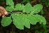  ( - BioBot00013)  @11 [ ] Copyright (2010) Unspecified Unspecified