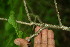  ( - BioBot00013)  @11 [ ] Copyright (2010) Unspecified Unspecified