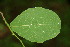  ( - BioBot00013)  @11 [ ] Copyright (2010) Unspecified Unspecified