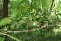  ( - BioBot00019)  @11 [ ] Copyright (2010) Unspecified Unspecified