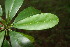  ( - BioBot00019)  @11 [ ] Copyright (2010) Unspecified Unspecified
