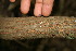  ( - BioBot00019)  @11 [ ] Copyright (2010) Unspecified Unspecified