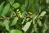  ( - BioBot00030)  @11 [ ] Copyright (2010) Unspecified Unspecified