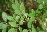  ( - BioBot00030)  @11 [ ] Copyright (2010) Unspecified Unspecified