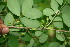  ( - BioBot00030)  @11 [ ] Copyright (2010) Unspecified Unspecified