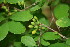  ( - BioBot00030)  @11 [ ] Copyright (2010) Unspecified Unspecified