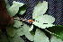  ( - BioBot00031)  @11 [ ] Copyright (2010) Unspecified Unspecified