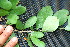  ( - BioBot00031)  @11 [ ] Copyright (2010) Unspecified Unspecified