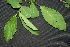  ( - BioBot00032)  @11 [ ] Copyright (2010) Unspecified Unspecified