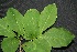 ( - BioBot00033)  @11 [ ] Copyright (2010) Unspecified Unspecified