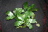  ( - BioBot00038)  @11 [ ] Copyright (2010) Unspecified Unspecified