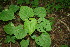  ( - BioBot00053)  @11 [ ] Copyright (2010) Unspecified Unspecified