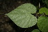  ( - BioBot00053)  @11 [ ] Copyright (2010) Unspecified Unspecified