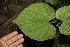  ( - BioBot00053)  @11 [ ] Copyright (2010) Unspecified Unspecified