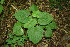  ( - BioBot00054)  @11 [ ] Copyright (2010) Unspecified Unspecified