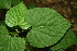  ( - BioBot00054)  @11 [ ] Copyright (2010) Unspecified Unspecified