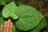  ( - BioBot00054)  @11 [ ] Copyright (2010) Unspecified Unspecified