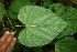  ( - BioBot00054)  @11 [ ] Copyright (2010) Unspecified Unspecified