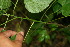  ( - BioBot00054)  @11 [ ] Copyright (2010) Unspecified Unspecified