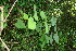  ( - BioBot00055)  @11 [ ] Copyright (2010) Unspecified Unspecified