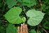  ( - BioBot00055)  @11 [ ] Copyright (2010) Unspecified Unspecified