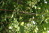  ( - BioBot00077)  @11 [ ] Copyright (2010) Unspecified Unspecified