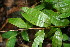 ( - BioBot00110)  @11 [ ] Copyright (2010) Unspecified Unspecified