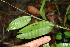  ( - BioBot00110)  @11 [ ] Copyright (2010) Unspecified Unspecified