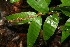  ( - BioBot00112)  @11 [ ] Copyright (2010) Unspecified Unspecified