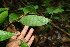 ( - BioBot00112)  @11 [ ] Copyright (2010) Unspecified Unspecified