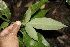  ( - BioBot00142)  @11 [ ] Copyright (2010) Unspecified Unspecified