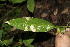  ( - BioBot00142)  @11 [ ] Copyright (2010) Unspecified Unspecified