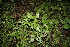  ( - BioBot00143)  @11 [ ] Copyright (2010) Unspecified Unspecified