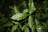  ( - BioBot00143)  @11 [ ] Copyright (2010) Unspecified Unspecified
