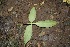  ( - BioBot00143)  @11 [ ] Copyright (2010) Unspecified Unspecified