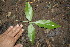  ( - BioBot00143)  @11 [ ] Copyright (2010) Unspecified Unspecified