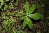  ( - BioBot00148)  @11 [ ] Copyright (2010) Unspecified Unspecified
