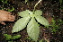  ( - BioBot00149)  @11 [ ] Copyright (2010) Unspecified Unspecified