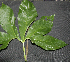  ( - BioBot00160)  @11 [ ] Copyright (2010) Unspecified Unspecified